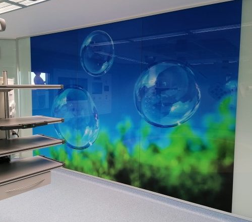 Vinilo-Polimerico-Brillo