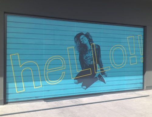 Todo sobre Vinilo Polimerico